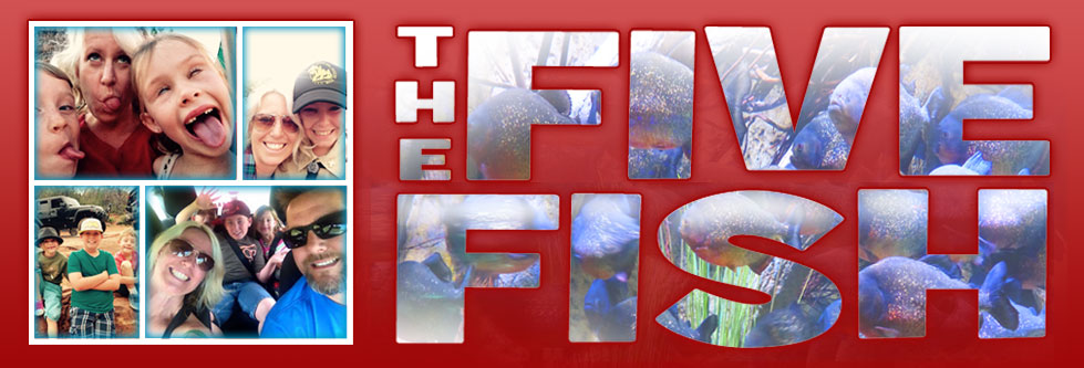 the five fish, i googled mom, karie herring, five fish blog